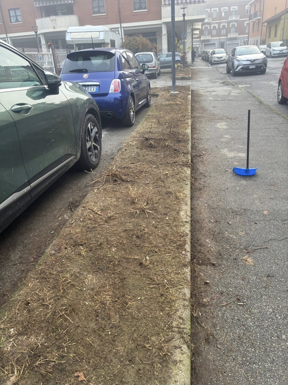 Nichelino, giovane ripulisce dai rifiuti via San Giuseppe: “Vorrei tanto fossero ripiantati gli alberi abbattuti e tagliata l’erba”