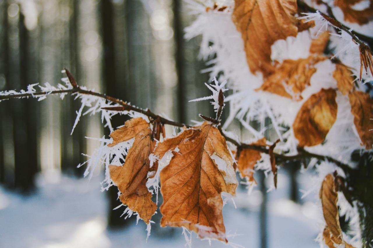 Previsioni meteo a Torino e provincia (26-27-28 gennaio 2026)
