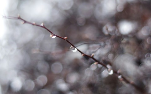 Previsioni meteo a Torino e provincia (16-17-18 gennaio 2026)