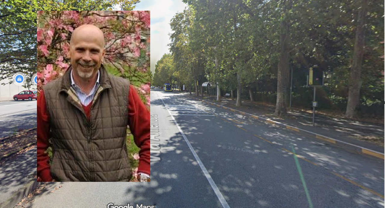 Verde urbano, l’agronomo Zanzi: “Un albero alto o cavo non è automaticamente pericoloso”