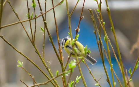 Previsioni meteo a Torino e provincia (23-24-25 febbraio 2026)