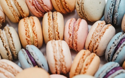 Cosa fare a Torino e provincia: gli eventi del weekend del 21 e 22 febbraio 2026