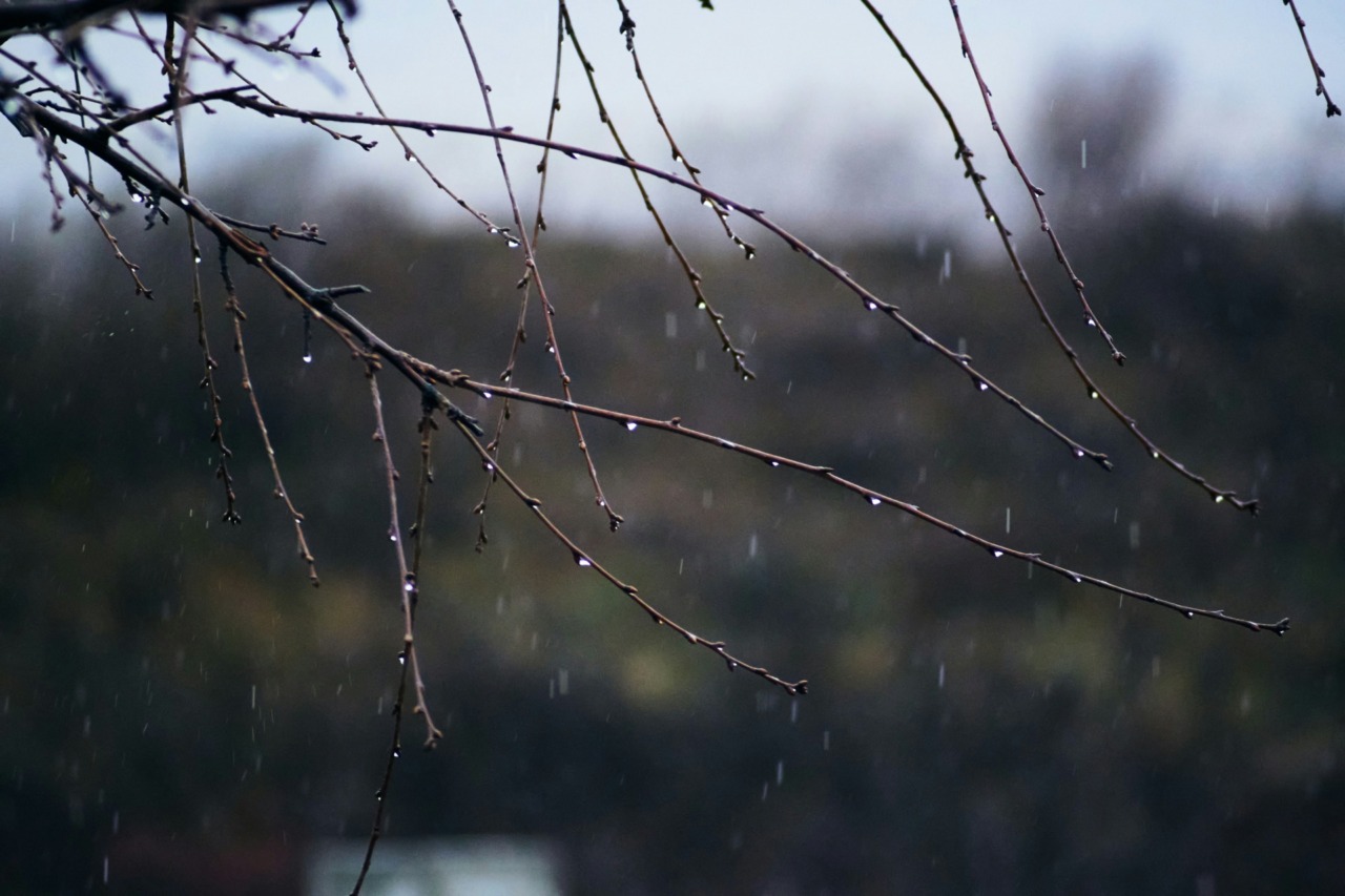 Previsioni meteo a Torino e provincia (13-14-15 febbraio 2026)