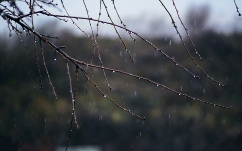 Previsioni meteo a Torino e provincia (13-14-15 febbraio 2026)