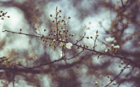 Previsioni meteo a Torino e provincia (27-28 febbraio e 1° marzo 2026)