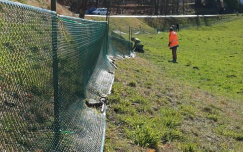 La Città Metropolitana di Torino ha avviato la sedicesima campagna di sensibilizzazione degli anfibi