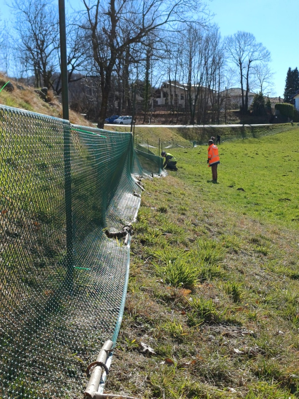 La Città Metropolitana di Torino ha avviato la sedicesima campagna di sensibilizzazione degli anfibi