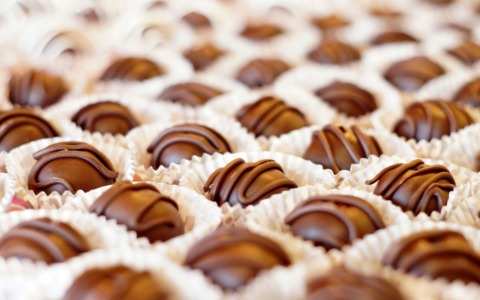 Cosa fare a Torino e provincia: gli eventi del weekend del 14 e 15 febbraio 2026