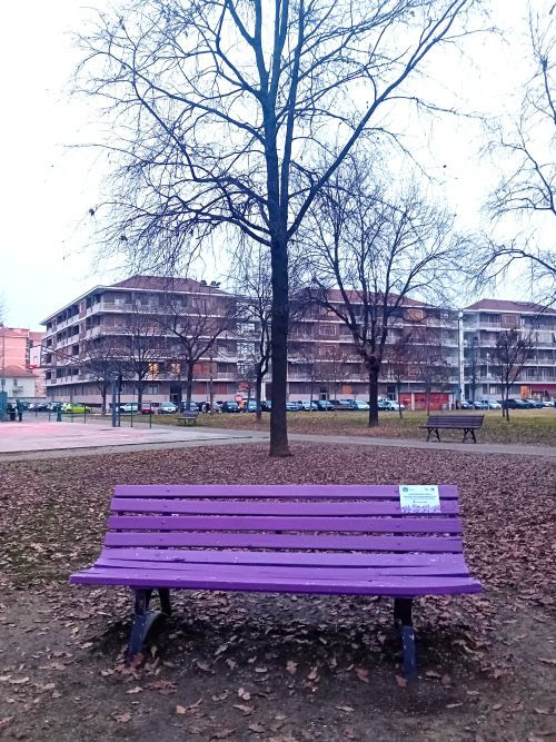 Carmagnola inaugura una panchina viola per sensibilizzare sulla fibromialgia