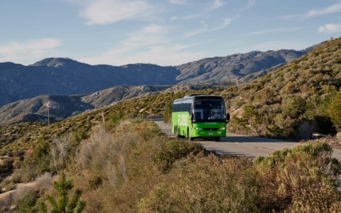 Torino: per Pasqua, FlixBus potenzia il servizio verso oltre 130 destinazioni in undici Paesi europei