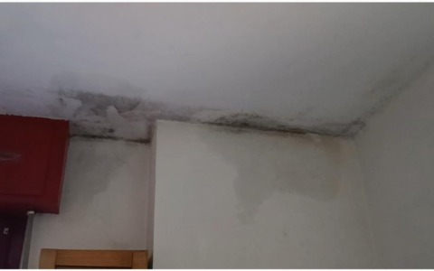 Nichelino, via Amendola: infiltrazioni tra il primo e il secondo piano di un alloggio Atc