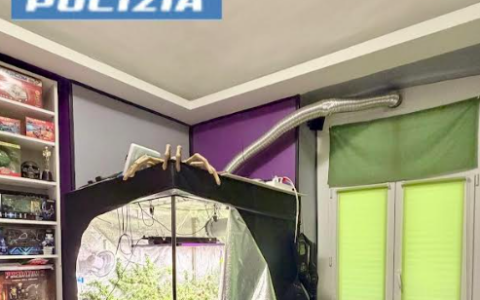 Coltivava marijuana in casa, arrestato 46enne