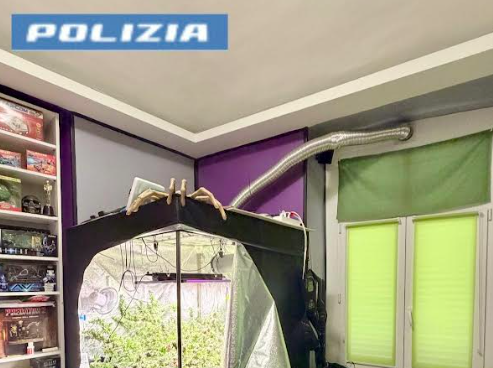 Coltivava marijuana in casa, arrestato 46enne