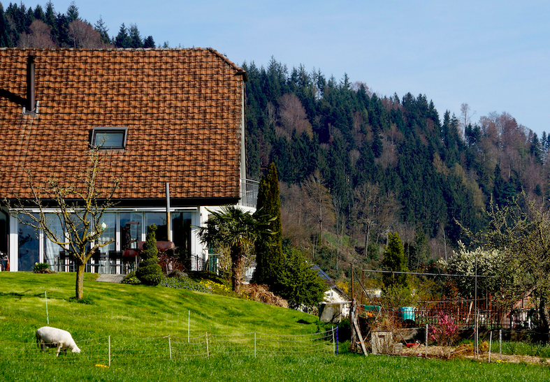 Agriturismi e crisi del turismo internazionale, per Pasqua previsto un calo del 20% degli stranieri extra UE