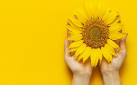 “Endometriosi: servono più consapevolezza, diagnosi precoci e formazione sanitaria. Siamo al fianco delle donne”