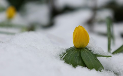 Previsioni meteo a Torino e provincia (2-3 -4 marzo 2026)