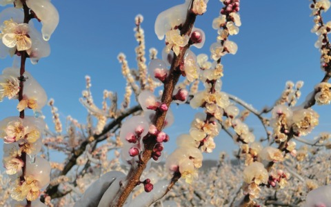 Previsioni meteo a Torino e provincia (27-28-29 marzo 2026)