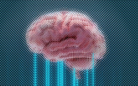UniTo: scoperto un nuovo meccanismo molecolare alla base di una sindrome del neurosviluppo