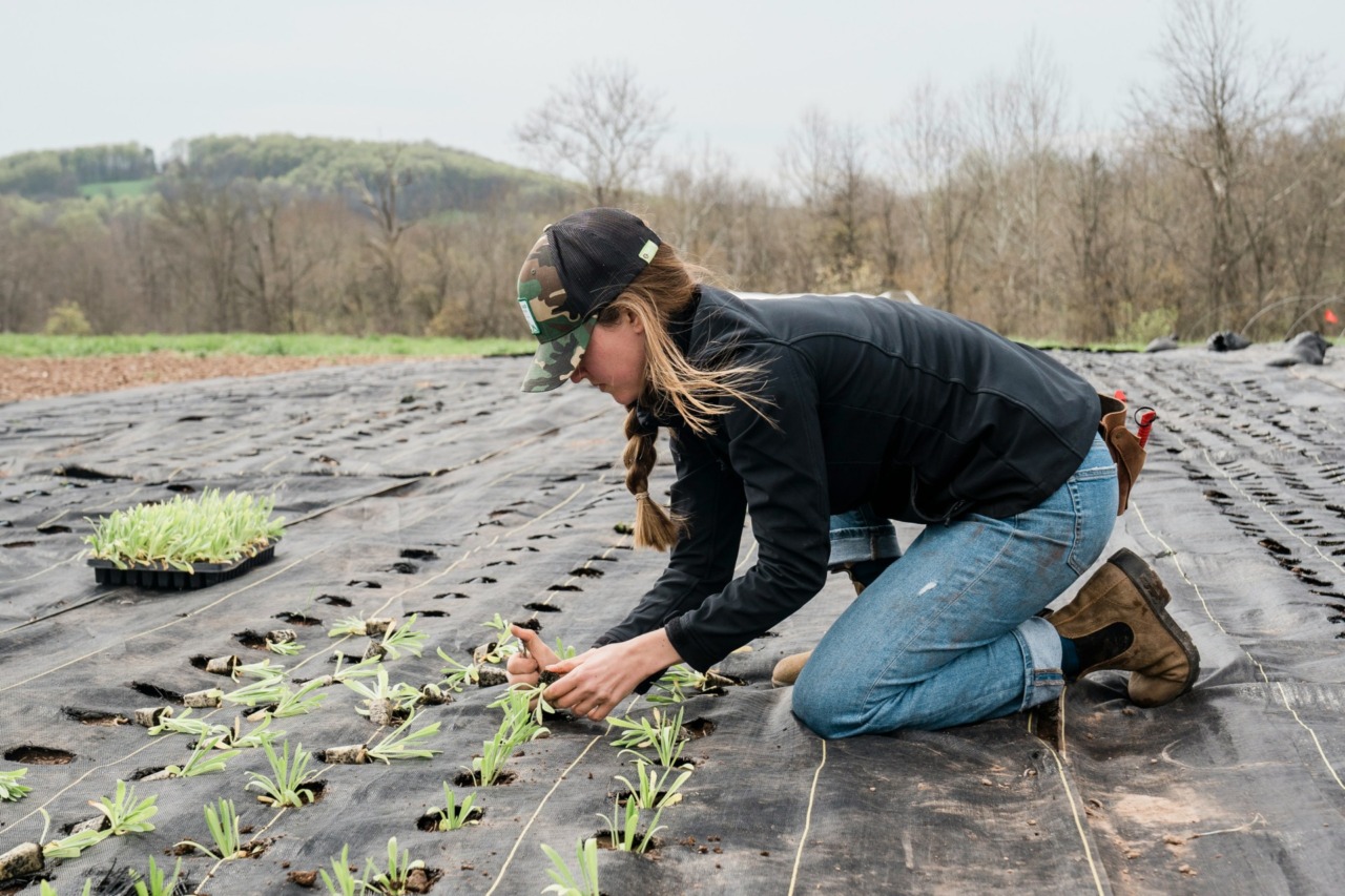I dati di Coldiretti Torino: sono le donne a spingere il cambiamento in agricoltura