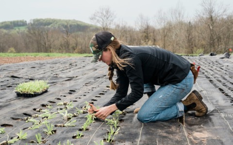 I dati di Coldiretti Torino: sono le donne a spingere il cambiamento in agricoltura