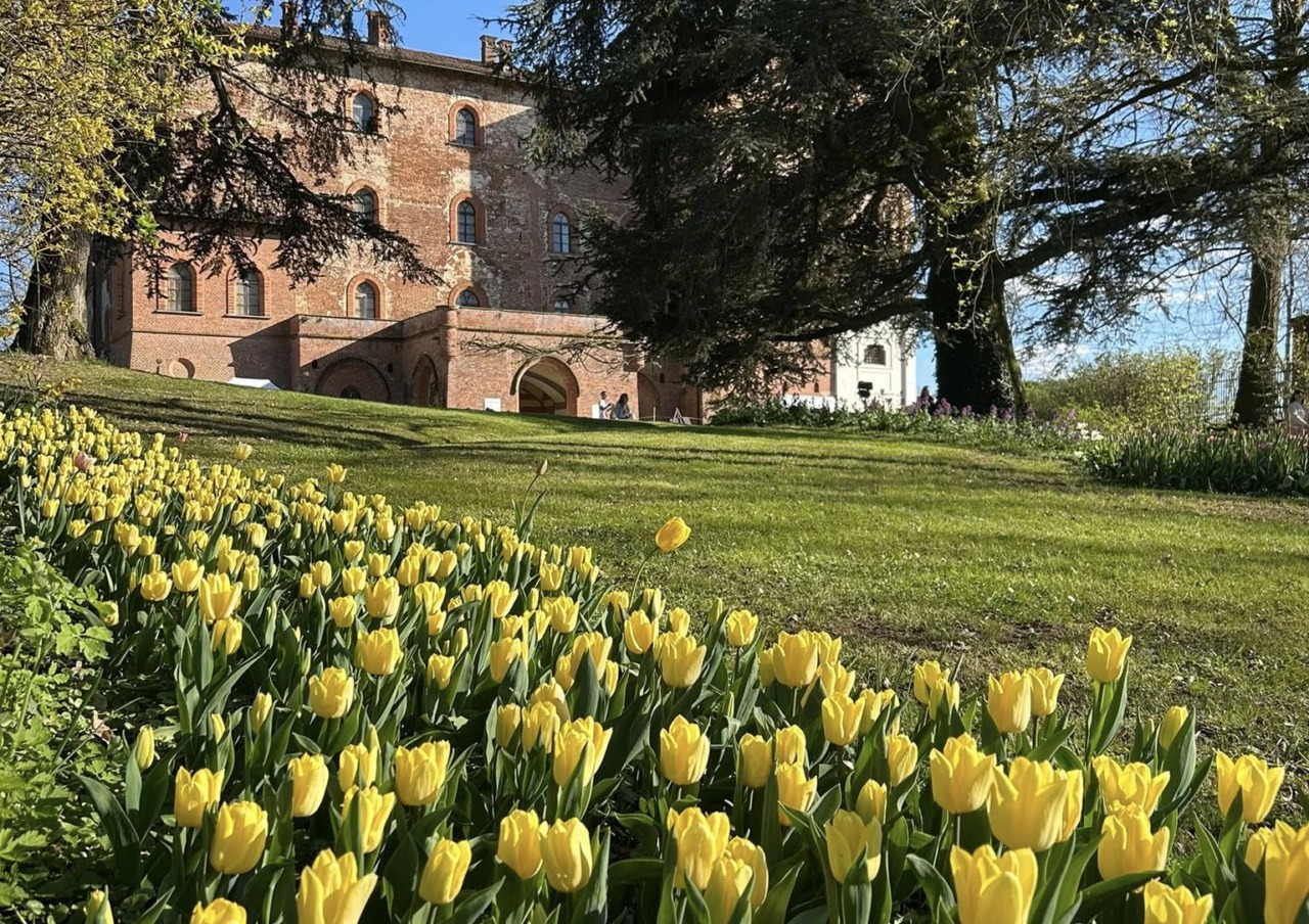 Cosa fare a Torino e provincia: gli eventi del weekend dell’11 e 12 aprile 2026