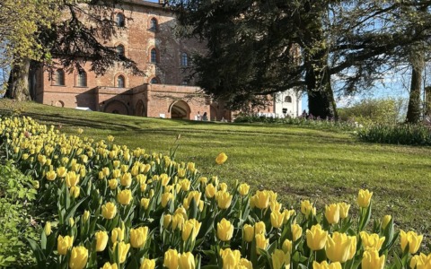 Cosa fare a Torino e provincia: gli eventi del weekend dell’11 e 12 aprile 2026