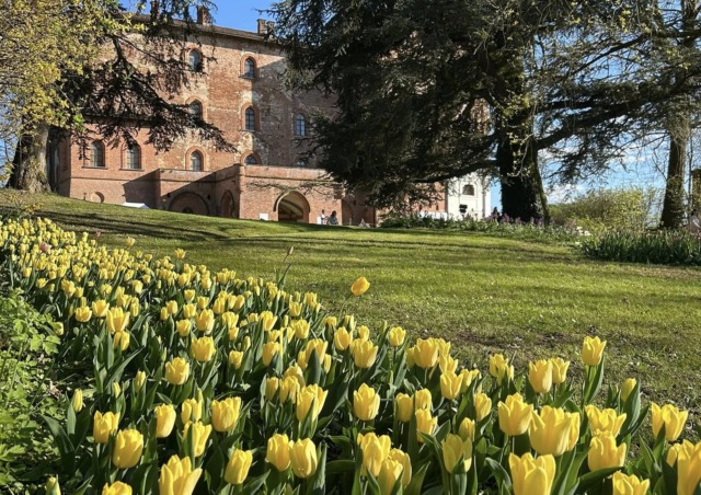 Cosa fare a Torino e provincia: gli eventi del weekend dell’11 e 12 aprile 2026