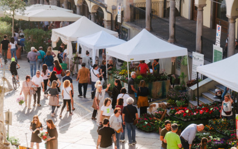 Florì e Miel’é: fiori e miele protagonisti a Moncalieri l’11 e il 12 aprile