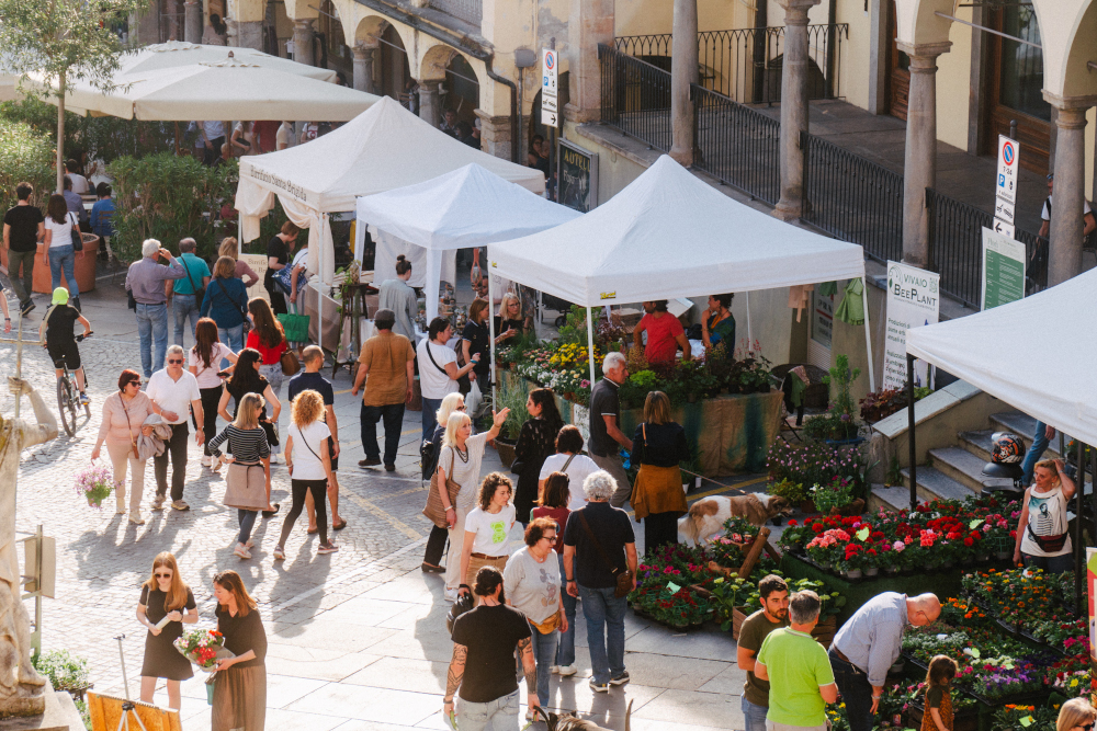 Florì e Miel’é: fiori e miele protagonisti a Moncalieri l’11 e il 12 aprile