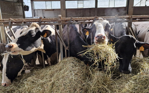 Coldiretti Torino e Università insieme per la qualità dell’aria