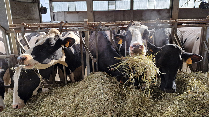 Coldiretti Torino e Università insieme per la qualità dell’aria