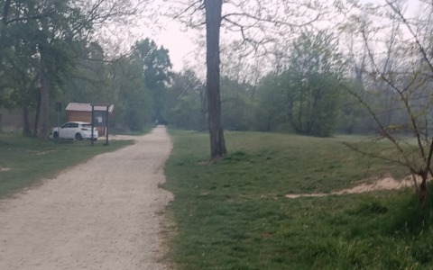 Nichelino, auto dentro il Parco del Boschetto. I residenti del quartiere: “Non ci devono entrare”