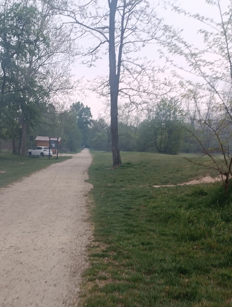 Nichelino, auto dentro il Parco del Boschetto. I residenti del quartiere: “Non ci devono entrare”
