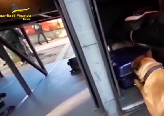 Il bagaglio della passeggera attira il fiuto del cane poliziotto Nasko: all’interno cocaina e metanfetamina