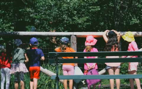 Rivoli taglia i costi dell’estate: la tariffa massima dei centri estivi a 50 euro  