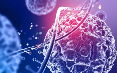 Malattie rare: “Migliorare i percorsi di cura per gli over 18″