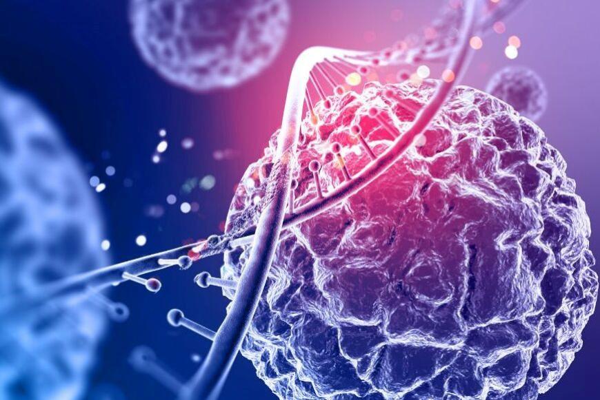 Malattie rare: “Migliorare i percorsi di cura per gli over 18″