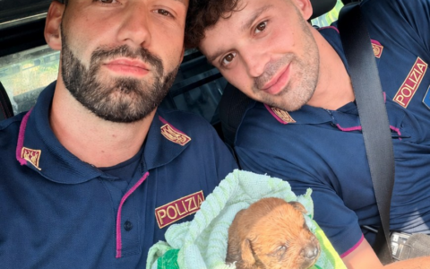 Cagnolino intrappolato nella fogna, salvato dalla Polizia