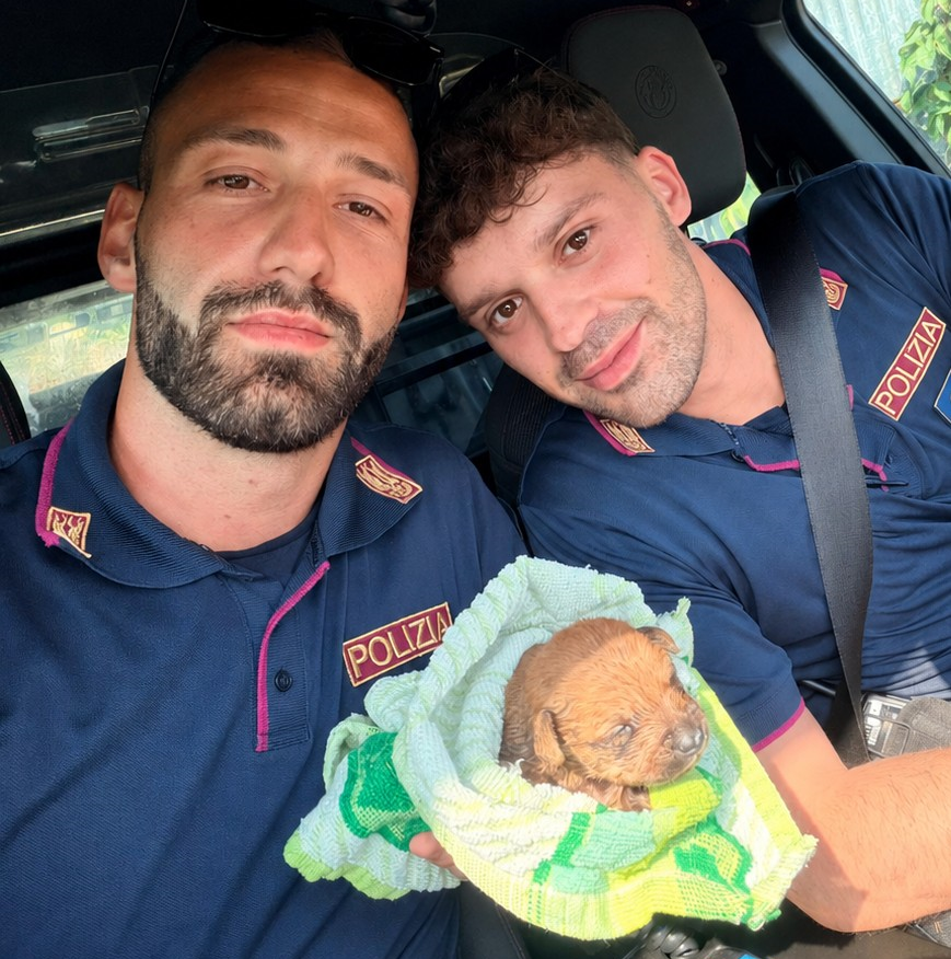 Cagnolino intrappolato nella fogna, salvato dalla Polizia