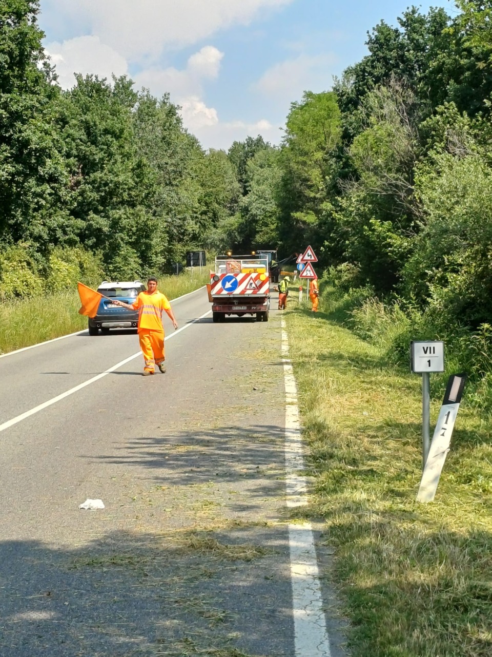 Sicurezza e decoro sulle strade provinciali: al via il piano di manutenzione del verde nel torinese