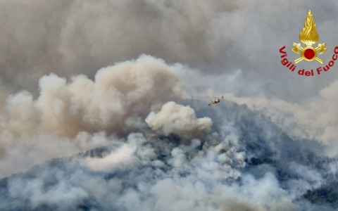 Incendi boschivi in Piemonte: oltre 800 ettari in fiamme e il piano per la rinascita delle foreste