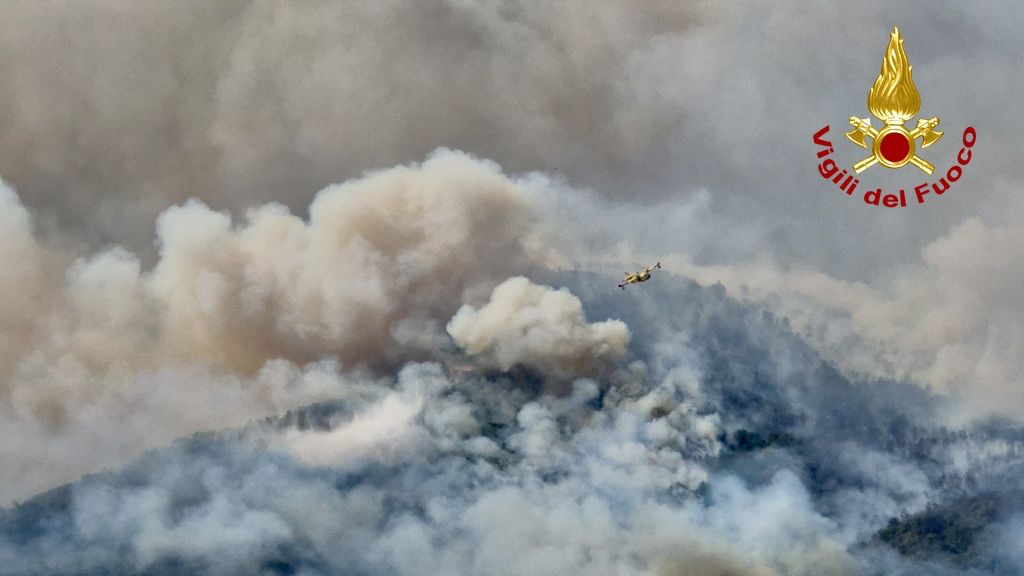 Incendi boschivi in Piemonte: oltre 800 ettari in fiamme e il piano per la rinascita delle foreste