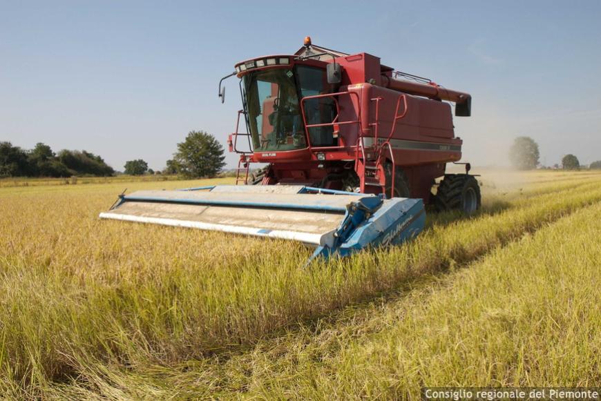 Lavoratori stagionali in agricoltura, in Piemonte focus su sorveglianza sanitaria e formazione obbligatoria