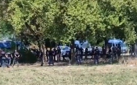 Maxi blitz della Polizia: 11 arresti e oltre 21mila pastiglie di droga sequestrate
