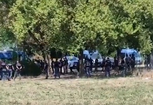 Maxi blitz della Polizia: 11 arresti e oltre 21mila pastiglie di droga sequestrate