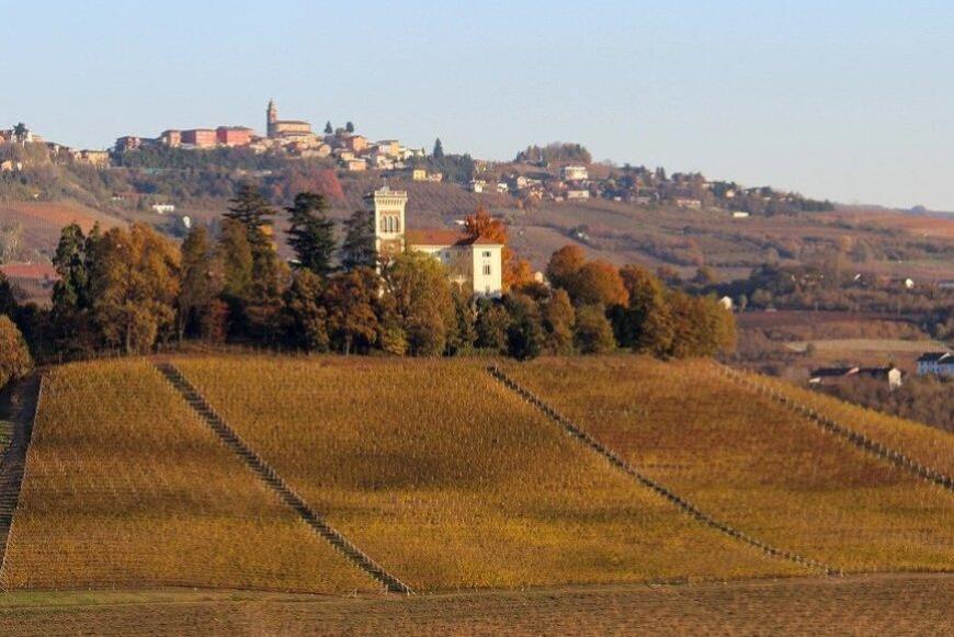 Vino piemontese, Regione e Commissione al lavoro contro la crisi: export in crescita e nuove misure per il comparto
