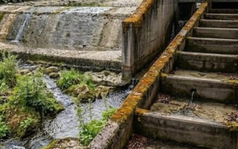 Siccità, azienda sanzionata per il mancato deflusso del Ceronda
