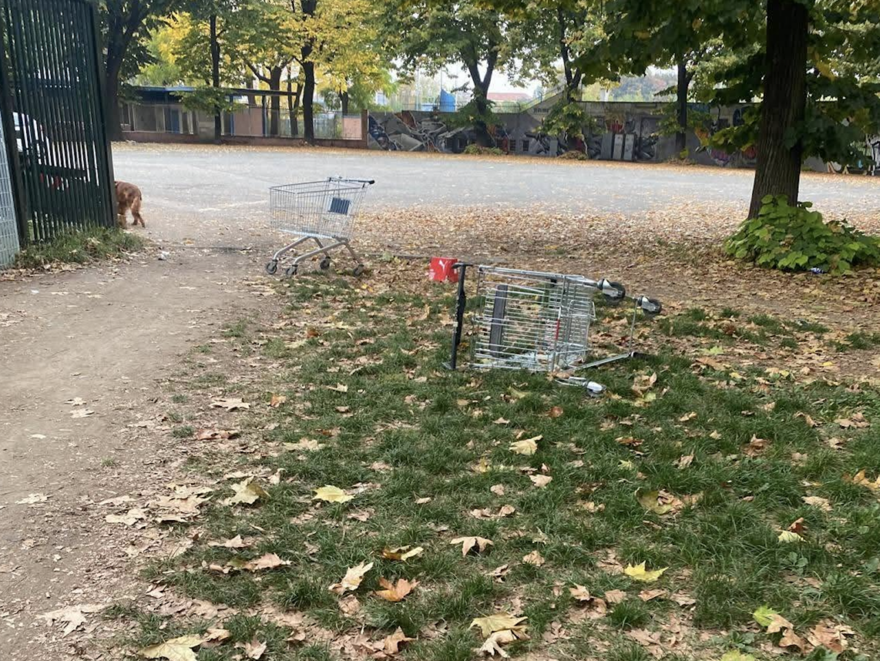 Donna di 45 anni trovata morta al Parco Sempione: si ipotizza un’overdose