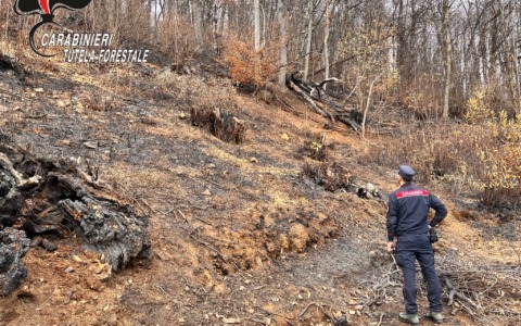 Incendi boschivi, le cause non sono solo naturali: 20 persone denunciate in Piemonte da inizio estate