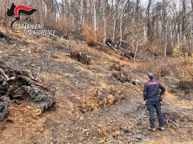 Incendi boschivi, le cause non sono solo naturali: 20 persone denunciate in Piemonte da inizio estate